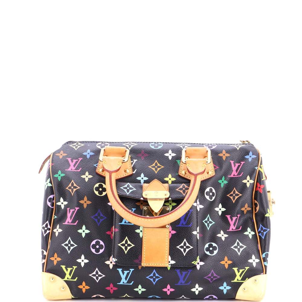 Louis Vuitton Speedy Handbag Multicolor #294716L24B